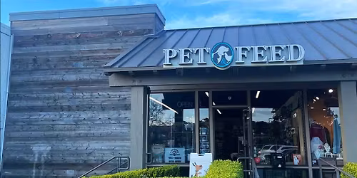 Encinitas - Dog dental cleaning