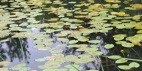 Dlhodob\u00fd psychoterapeutick\u00fd v\u00fdcvik v EFT