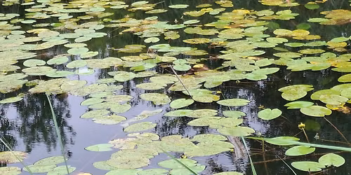 Dlhodob\u00fd psychoterapeutick\u00fd v\u00fdcvik v EFT