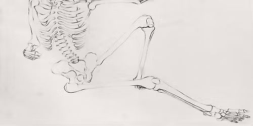 BASIC SKELETAL ANATOMY FOR ARTISTS WORKSHOP with Derek Leka