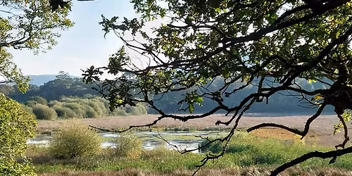 Willow Platter Workshop at RSPB Ynys-hir