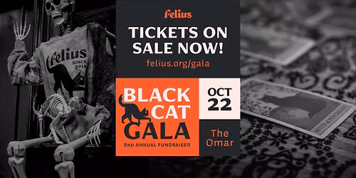 Felius: Black Cat Gala