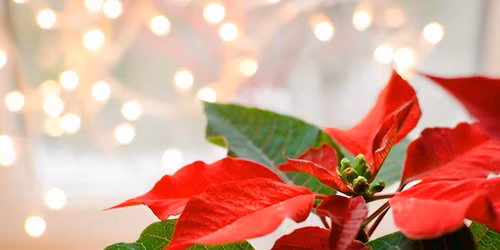 Family Art Night: Holiday Cards