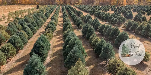 \ud83c\udf84Christmas Tree Opening Weekend at Meert Tree Farm!\ud83c\udf84