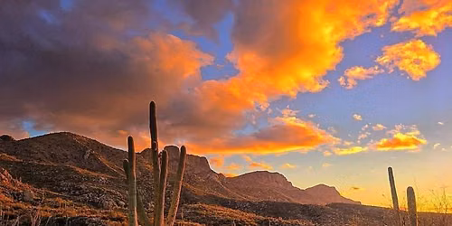 Tucson: Trails & Tranquility