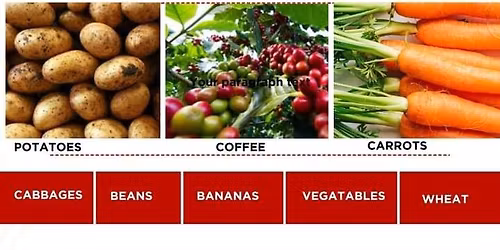 opportunity meetings