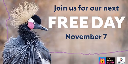 November 7 Free Day