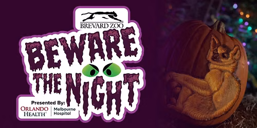 Beware the Night