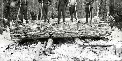 Tough Guy Book Club - San Francisco Chapter