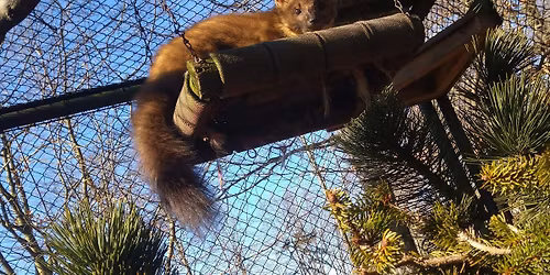Gro\u00dfes Tierparkfest im Tierpark Hexentanzplatz Thale