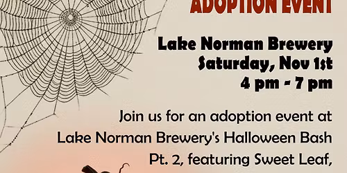 Halloween Bash Adoption Event at Lake Norman Brewery