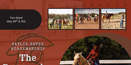 The Responsive Horse