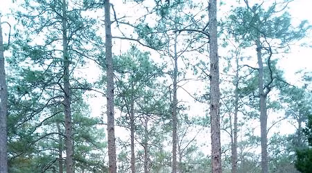 Lake Trail Nature Hikes- First Day Hikes