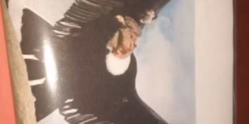 CHOCO MILENARIO ECUADOR 