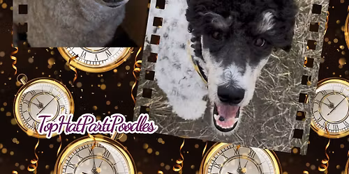 Kenzie\u2019s Finale