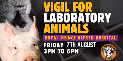 RPAH, Vigil for Primate & other Laboratory Animals