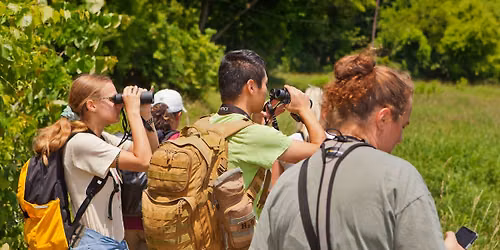 Monthly Birding Hike