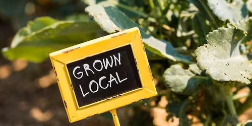 Beaches Green Market by Dig Local