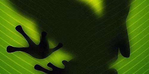 Atomic Frog at K.C.\u2019s on the lake. 