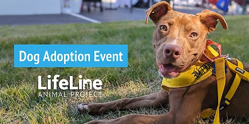 PetSmart (Tucker) Dog Adoption Event