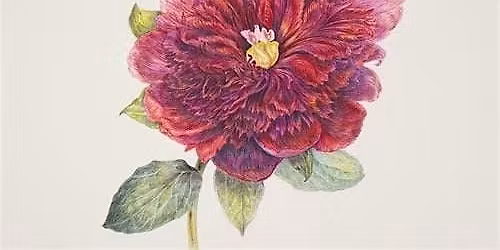 The Joy of Botanical Sketching