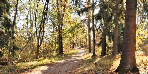 Pime\u00e4 ja hiljainen retki Seurasaareen