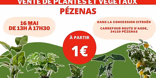 P\u00c9ZENAS - V\u00e9g\u00e9taux et Plantes \u00e0 partir de 1\u20ac by Plantes Addict