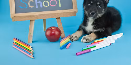 Puppy Preschool: 10\/25-11\/22
