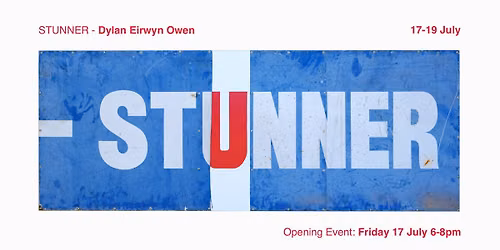 STUNNER by Dylan E Owen