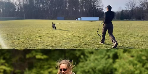 Scent Work, Tracking, & Protection 2 Day Seminar