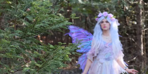 Fairy StoryWalk