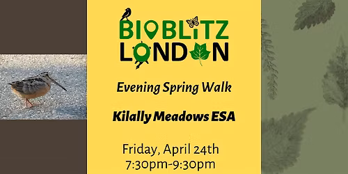 Evening Spring Walk (Guided Walk)