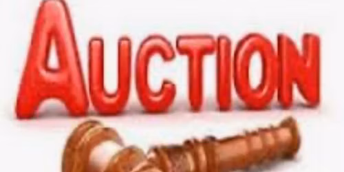 Auction Night every Friday 