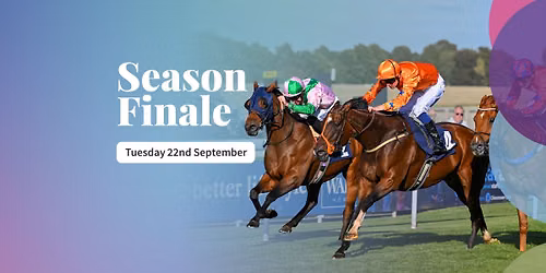 Season Finale