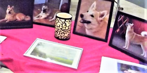 Seminar on Foundational Information of the science of training animals