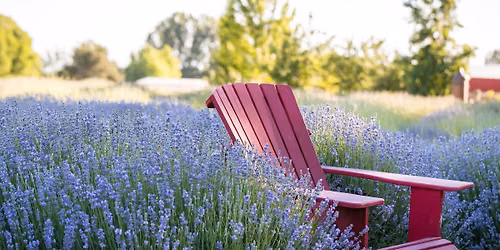 Evening in Provence