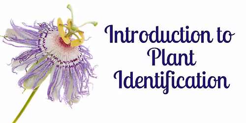 Introduction to Plant Identification