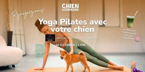 Yoga Pilates Dog Montreal by Chien Gourmand