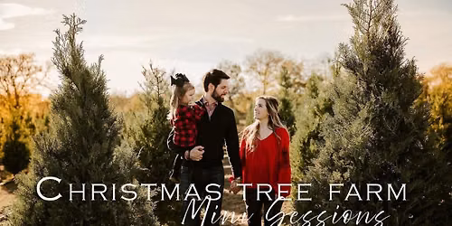 christmas tree mini sessions