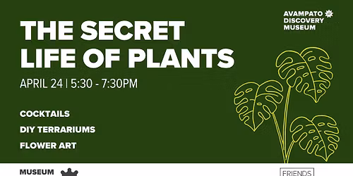 The Secret Life of Plants | Museum After Hours