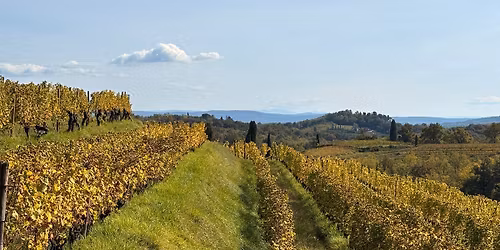 Tra le vigne del Collio - Pedalate condivise alla scoperta del territorio