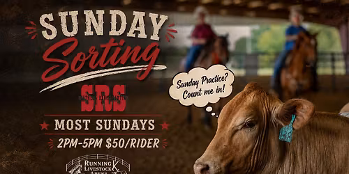 Sunday Ranch Sorting Practice-All Levels!