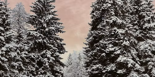 New Year's Day: Nourish, Reflect, Renew