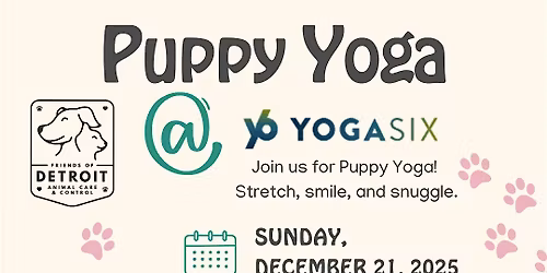 Puppy Yoga at YogaSix Royal Oak Supporting Friends of DACC