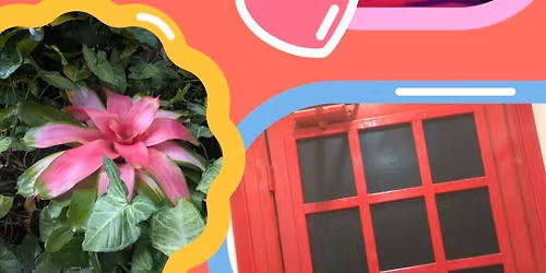 Adult Recess- Color Walk Field Trip