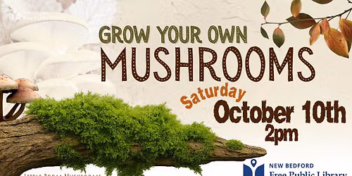Grow Your Own Mushrooms