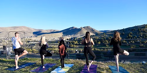 Root & Rise - Vinyasa Yoga