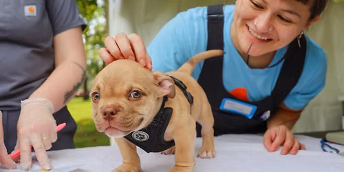 Oakland County Animal Control Low-Cost Vaccine Clinic