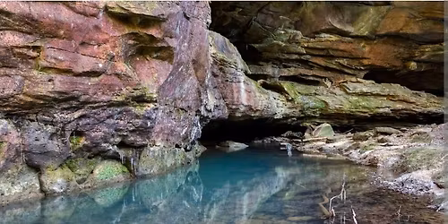 \ud83e\udea8 Honey Creek Loop: The Indiana Jones Jungle Gym Adventure