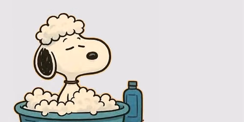 Free Dog Wash